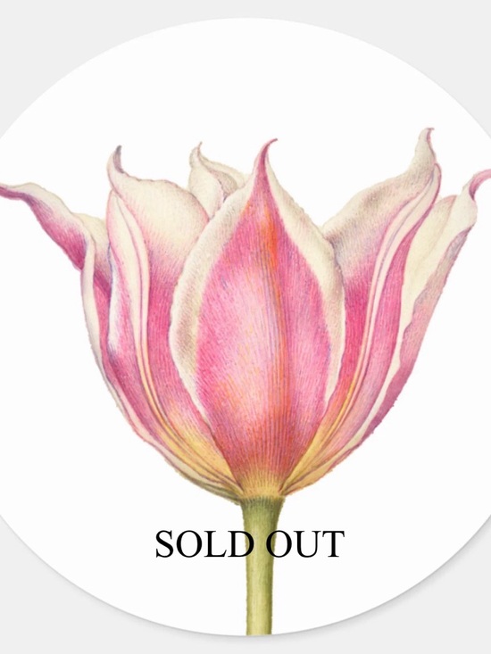 desireshoppe Tops - Sorry you missed it…,